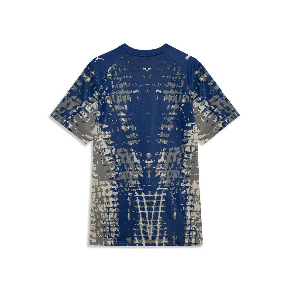 Camisa Palmeiras Puma Goleiro Especial 26/27 Torcedor