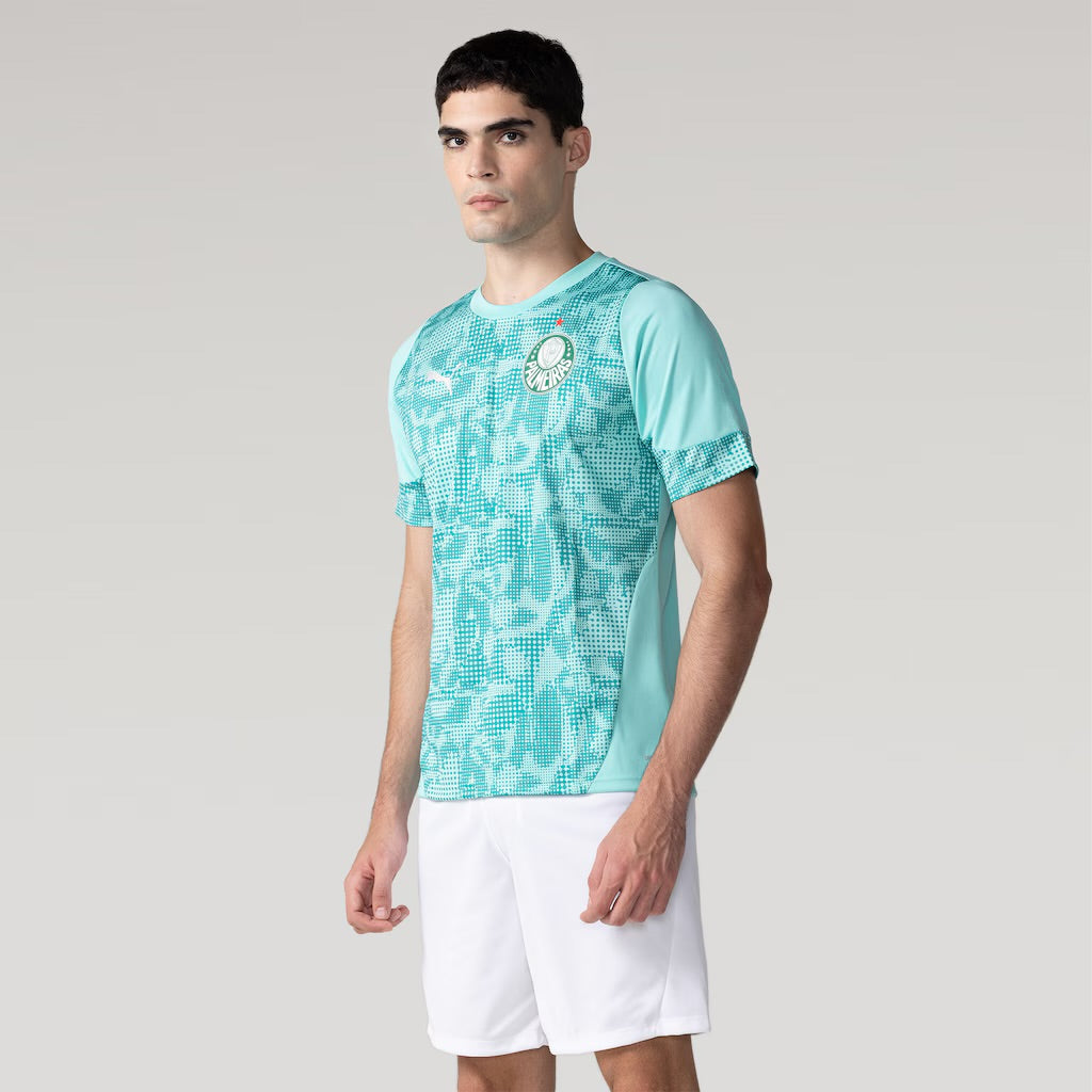 Camisa Puma Palmeiras 2026/27 Treino Torcedor