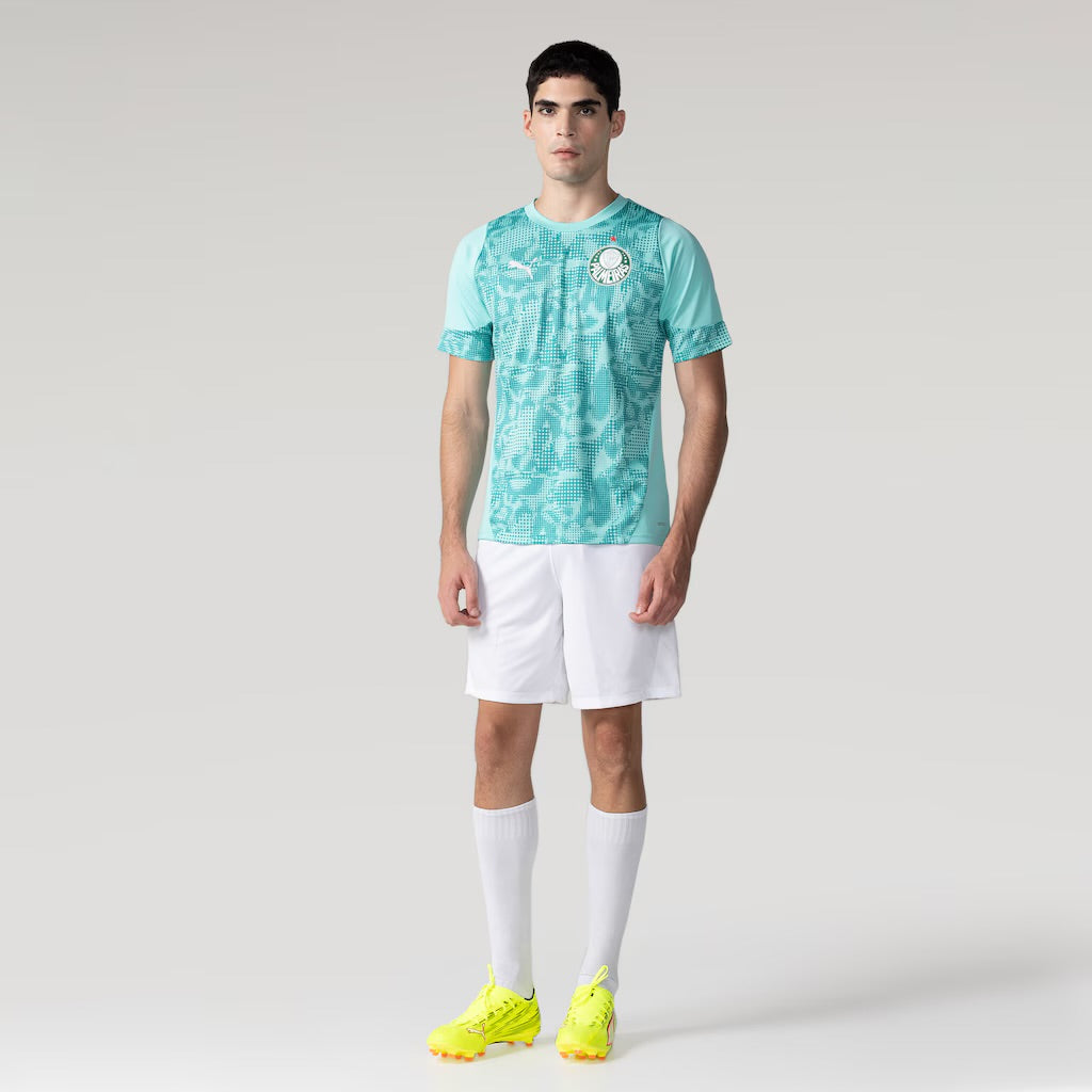 Camisa Puma Palmeiras 2026/27 Treino Torcedor