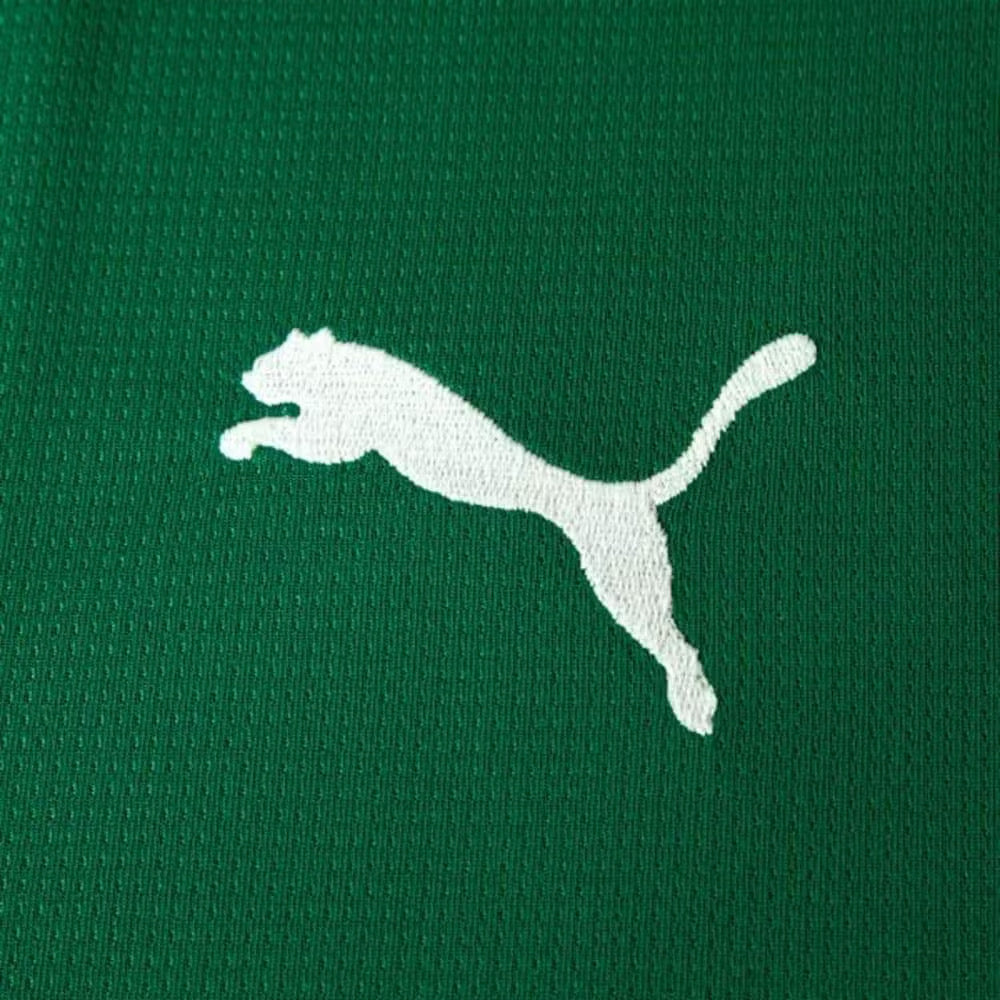 Camisa Puma Palmeiras 2026/27 I Torcedor C/Patrocínios