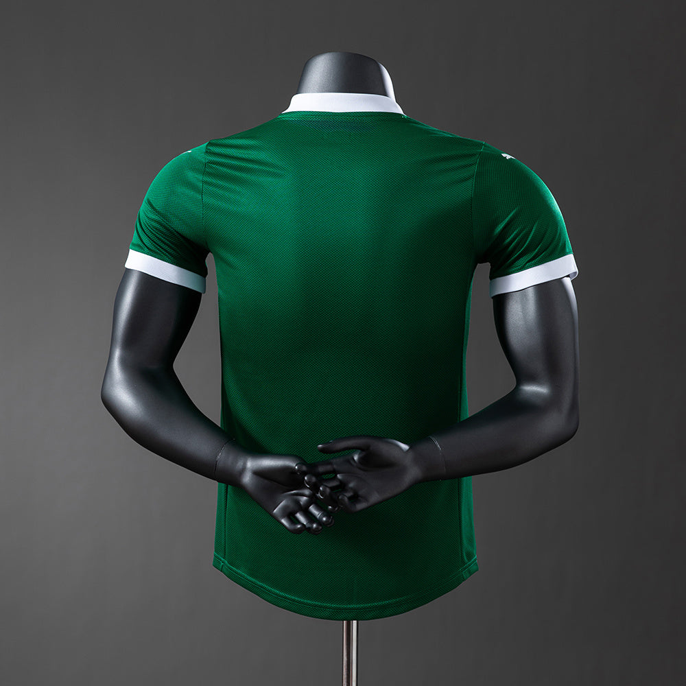 Camisa Puma Palmeiras 2025/26 I Jogador